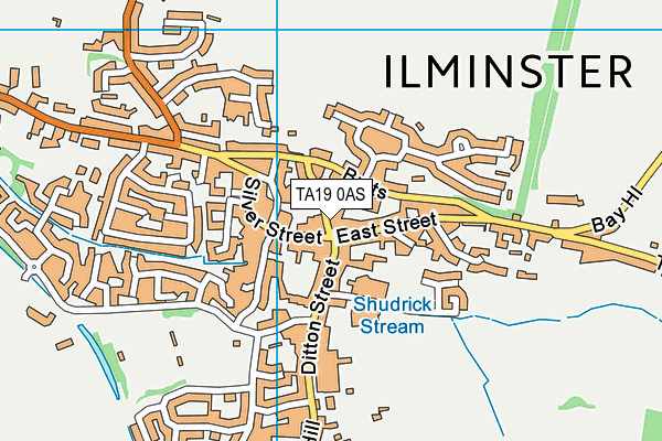 TA19 0AS map - OS VectorMap District (Ordnance Survey)