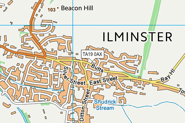 TA19 0AX map - OS VectorMap District (Ordnance Survey)