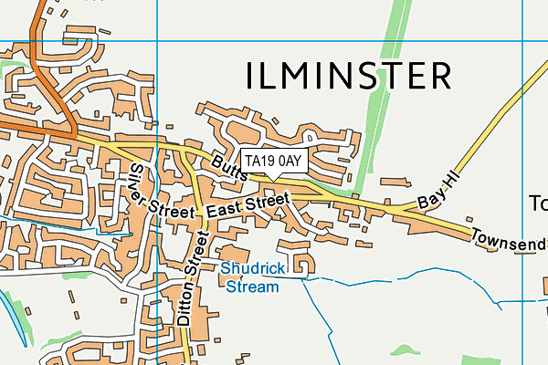 TA19 0AY map - OS VectorMap District (Ordnance Survey)