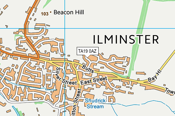 TA19 0AZ map - OS VectorMap District (Ordnance Survey)