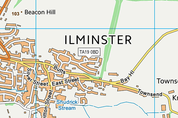 TA19 0BD map - OS VectorMap District (Ordnance Survey)