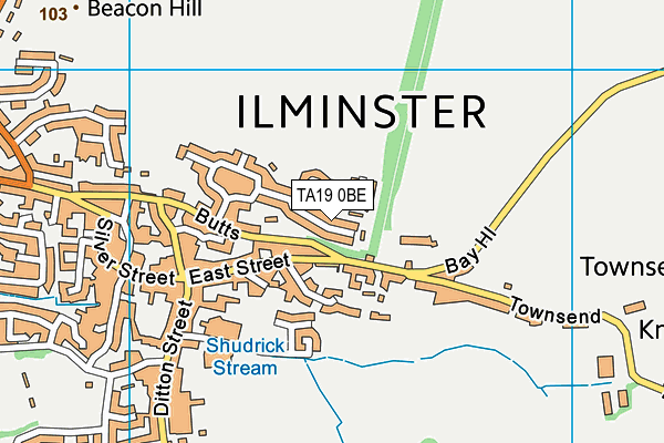 TA19 0BE map - OS VectorMap District (Ordnance Survey)