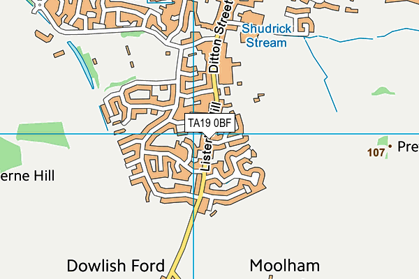 TA19 0BF map - OS VectorMap District (Ordnance Survey)