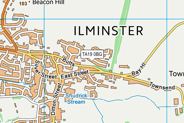 TA19 0BG map - OS VectorMap District (Ordnance Survey)