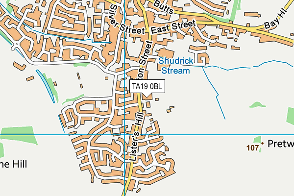 Swanmead Community School map (TA19 0BL) - OS VectorMap District (Ordnance Survey)