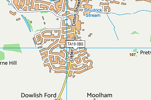 TA19 0BS map - OS VectorMap District (Ordnance Survey)