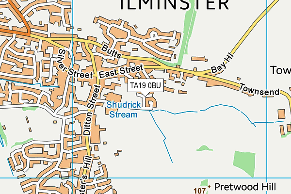 TA19 0BU map - OS VectorMap District (Ordnance Survey)