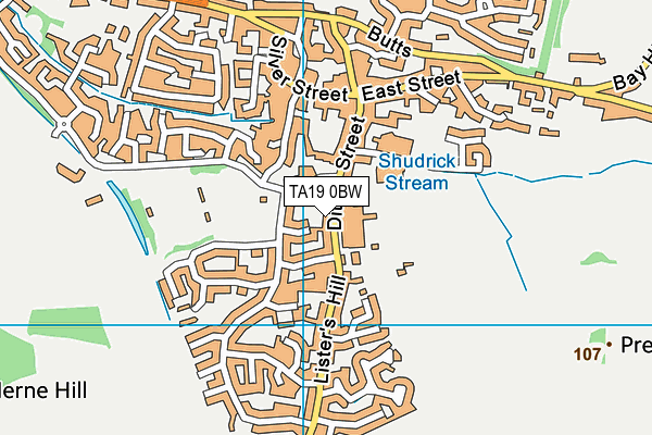 TA19 0BW map - OS VectorMap District (Ordnance Survey)