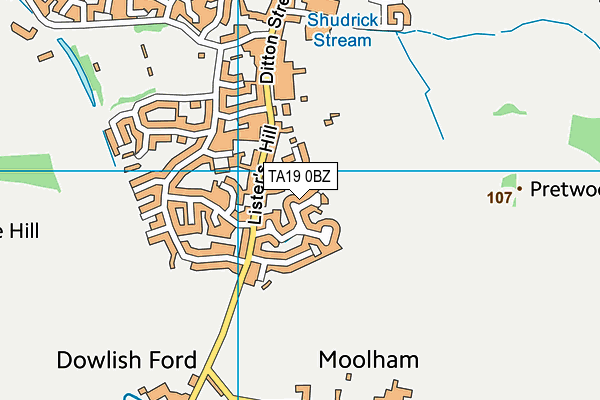 TA19 0BZ map - OS VectorMap District (Ordnance Survey)