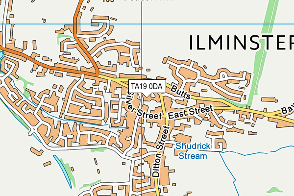 TA19 0DA map - OS VectorMap District (Ordnance Survey)