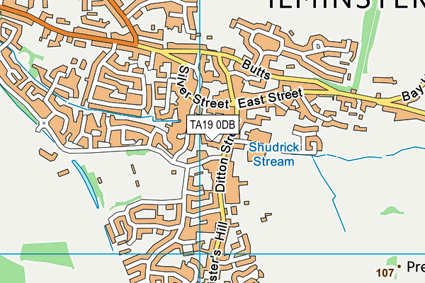 TA19 0DB map - OS VectorMap District (Ordnance Survey)