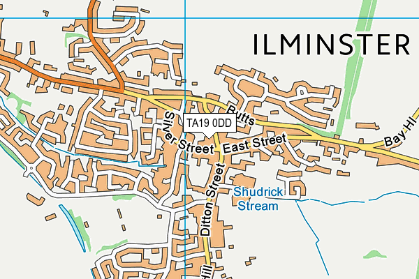 TA19 0DD map - OS VectorMap District (Ordnance Survey)