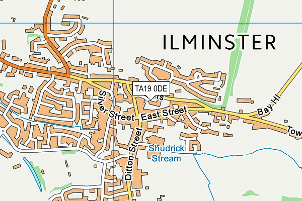 TA19 0DE map - OS VectorMap District (Ordnance Survey)