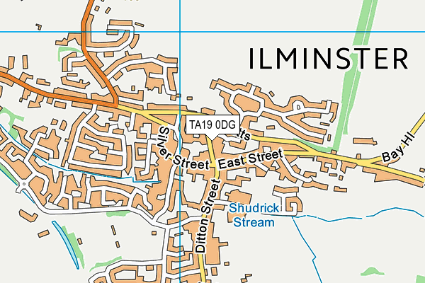 TA19 0DG map - OS VectorMap District (Ordnance Survey)