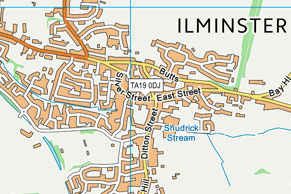 TA19 0DJ map - OS VectorMap District (Ordnance Survey)