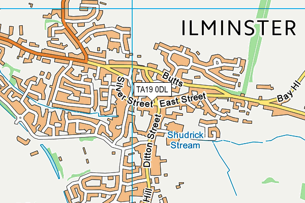 TA19 0DL map - OS VectorMap District (Ordnance Survey)