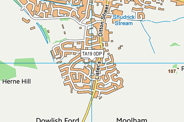 TA19 0DP map - OS VectorMap District (Ordnance Survey)