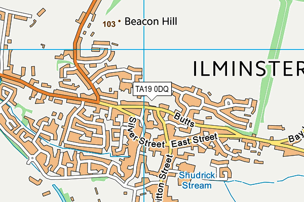 TA19 0DQ map - OS VectorMap District (Ordnance Survey)