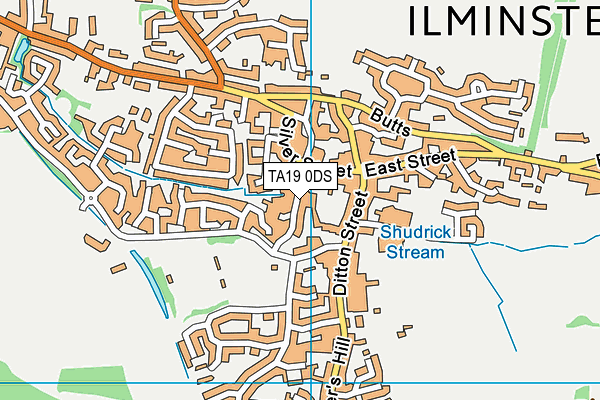 TA19 0DS map - OS VectorMap District (Ordnance Survey)