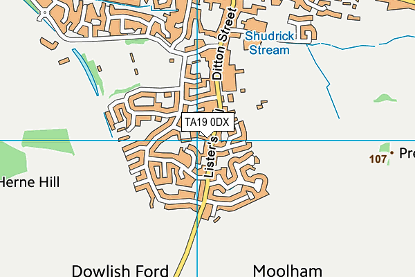 TA19 0DX map - OS VectorMap District (Ordnance Survey)
