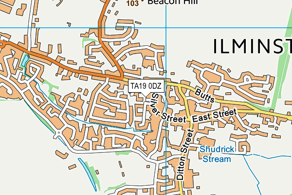 TA19 0DZ map - OS VectorMap District (Ordnance Survey)