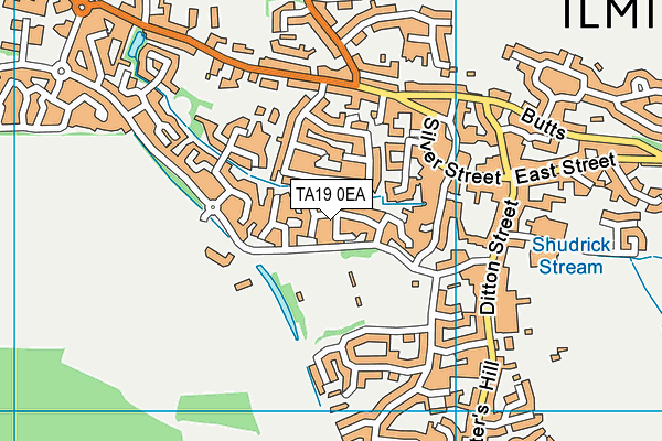 TA19 0EA map - OS VectorMap District (Ordnance Survey)