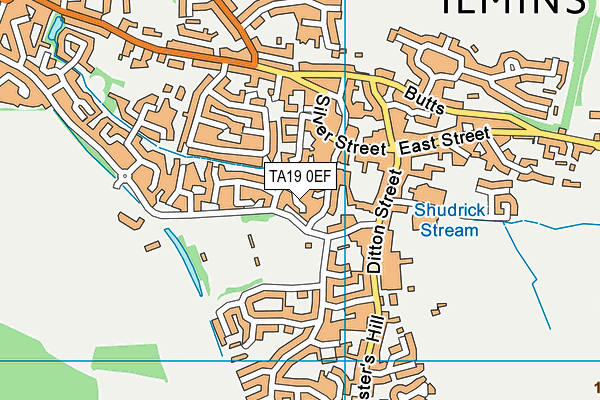 TA19 0EF map - OS VectorMap District (Ordnance Survey)