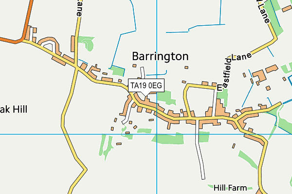 TA19 0EG map - OS VectorMap District (Ordnance Survey)