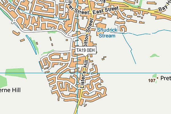 TA19 0EH map - OS VectorMap District (Ordnance Survey)