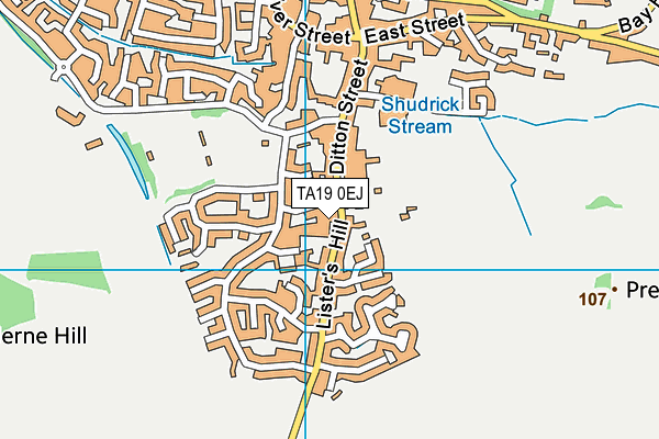 TA19 0EJ map - OS VectorMap District (Ordnance Survey)