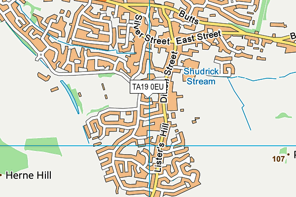 TA19 0EU map - OS VectorMap District (Ordnance Survey)