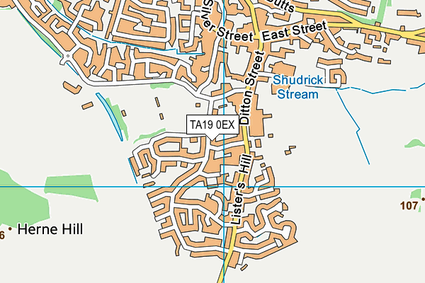 TA19 0EX map - OS VectorMap District (Ordnance Survey)