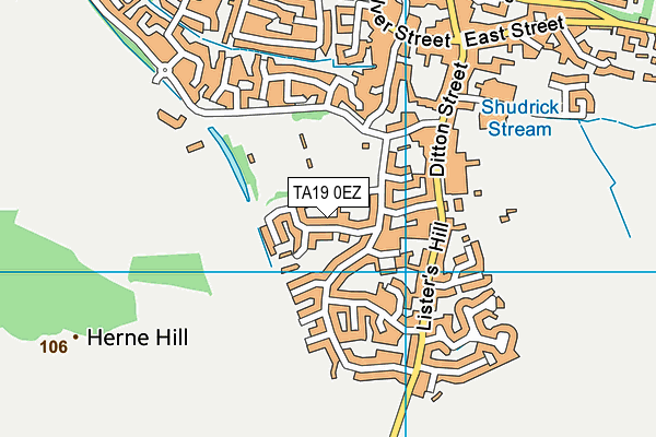 TA19 0EZ map - OS VectorMap District (Ordnance Survey)