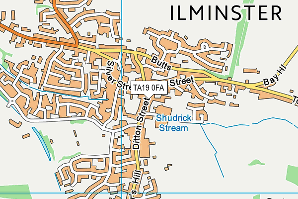 TA19 0FA map - OS VectorMap District (Ordnance Survey)