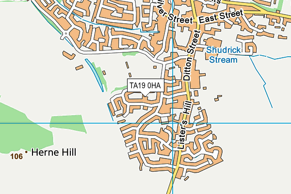 TA19 0HA map - OS VectorMap District (Ordnance Survey)