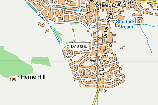 TA19 0HD map - OS VectorMap District (Ordnance Survey)