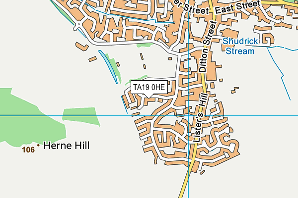 TA19 0HE map - OS VectorMap District (Ordnance Survey)