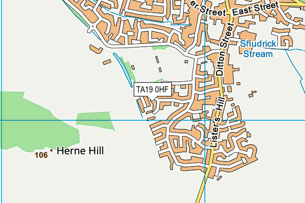 TA19 0HF map - OS VectorMap District (Ordnance Survey)