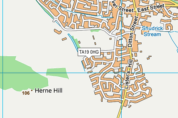 TA19 0HG map - OS VectorMap District (Ordnance Survey)