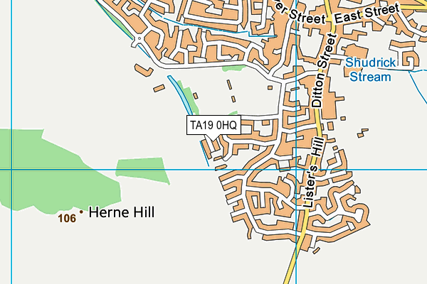 TA19 0HQ map - OS VectorMap District (Ordnance Survey)