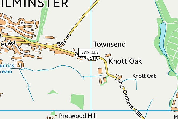 TA19 0JA map - OS VectorMap District (Ordnance Survey)