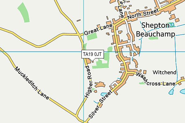 TA19 0JT map - OS VectorMap District (Ordnance Survey)