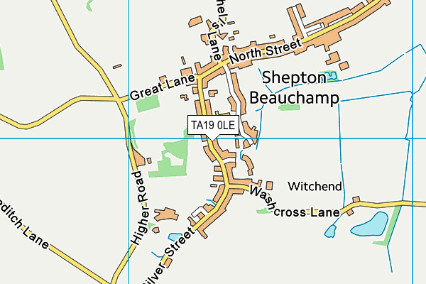 TA19 0LE map - OS VectorMap District (Ordnance Survey)