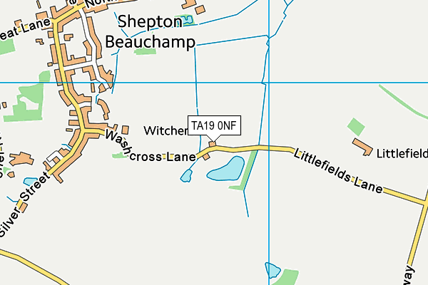 TA19 0NF map - OS VectorMap District (Ordnance Survey)