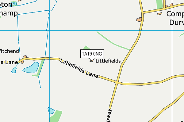 TA19 0NG map - OS VectorMap District (Ordnance Survey)