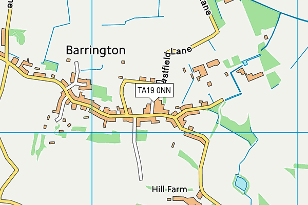 TA19 0NN map - OS VectorMap District (Ordnance Survey)