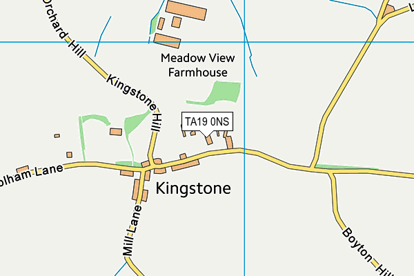 TA19 0NS map - OS VectorMap District (Ordnance Survey)