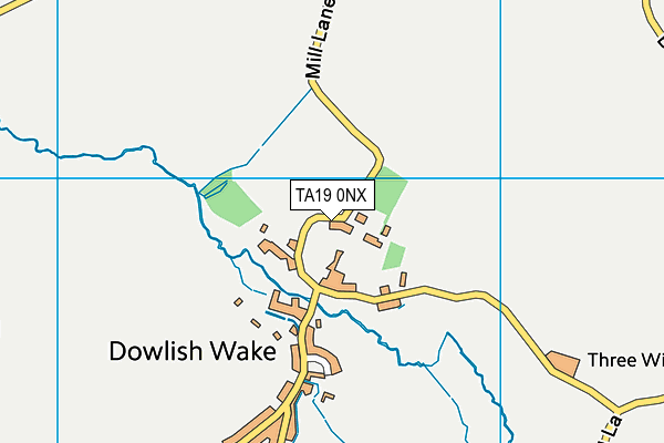 TA19 0NX map - OS VectorMap District (Ordnance Survey)