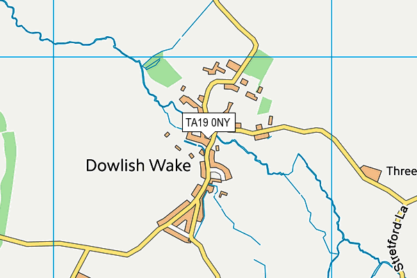 TA19 0NY map - OS VectorMap District (Ordnance Survey)