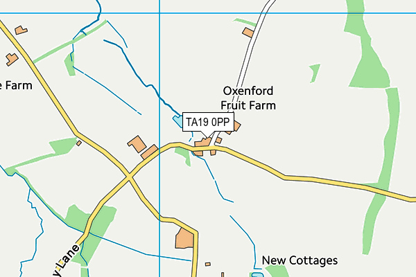 TA19 0PP map - OS VectorMap District (Ordnance Survey)